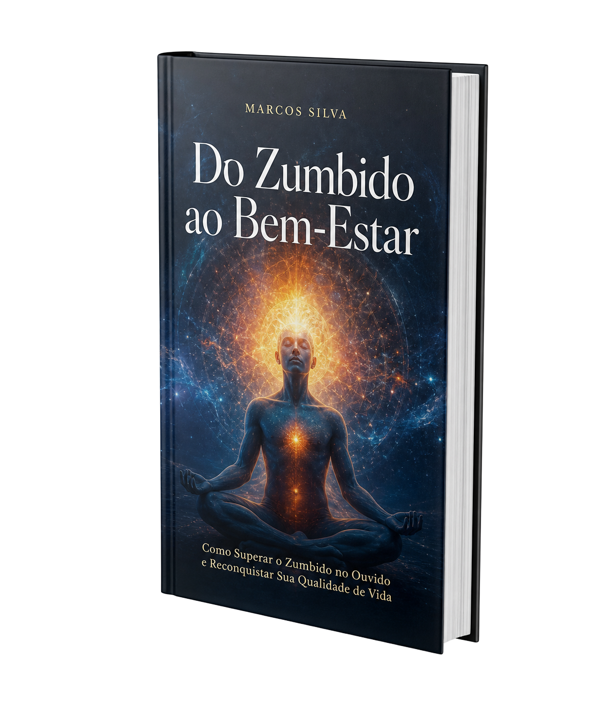 Livro Do Zumbido ao Bem-Estar